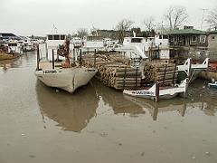 090815_Parana_Delta 058